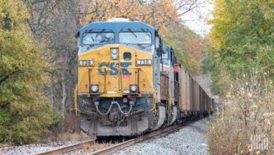 Image shows a CSX diesel locomotive, freight cars and trees