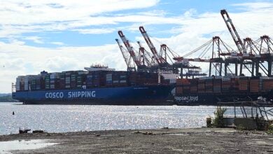 Image shows container ships, container cranes, seawater and clouds in the sky.