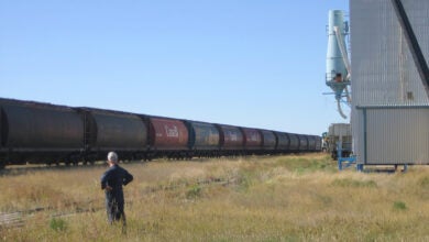 A man standing in a field next to a grain elevator watching a freight train roll by.