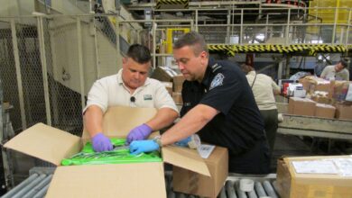 Customs inspector search a box at a postal facility.