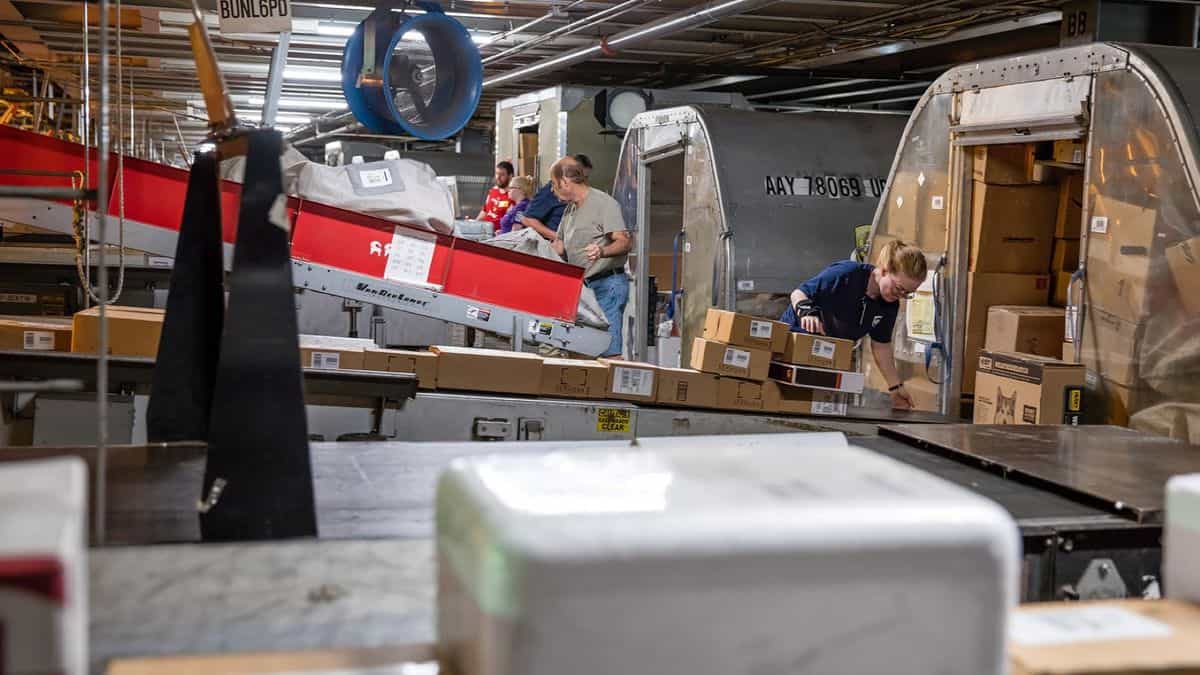 Workers at an express air hub as packages come down chutes into air cargo containers.